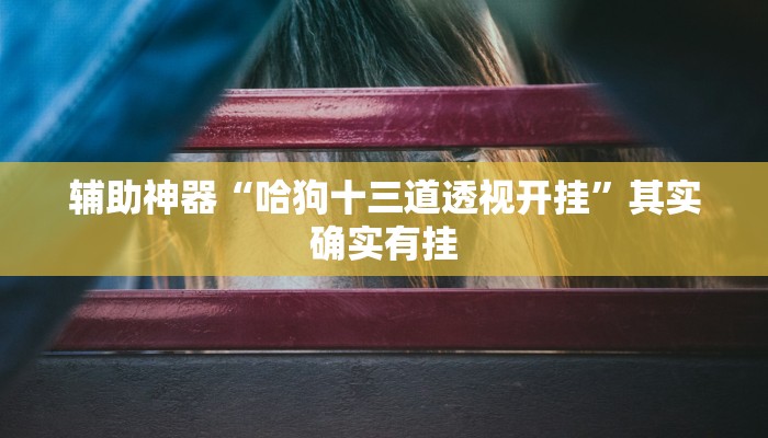 辅助神器“哈狗十三道透视开挂”其实确实有挂