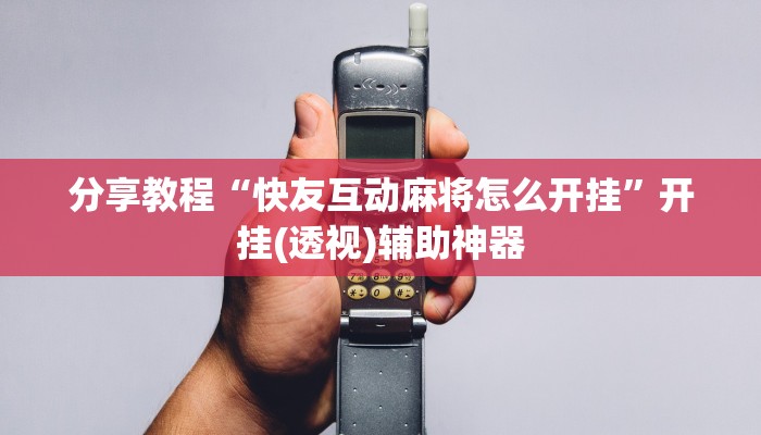 辅助神器“德扑之星作弊看牌器”其实确实有挂