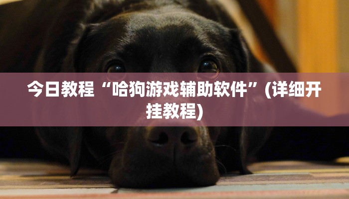 今日教程“哈狗游戏辅助软件”(详细开挂教程)