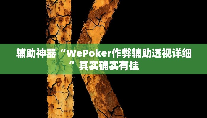 辅助神器“WePoker作弊辅助透视详细”其实确实有挂