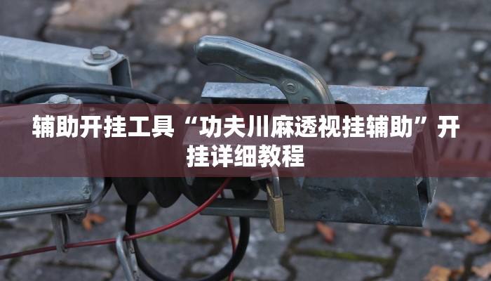 辅助开挂工具“功夫川麻透视挂辅助”开挂详细教程