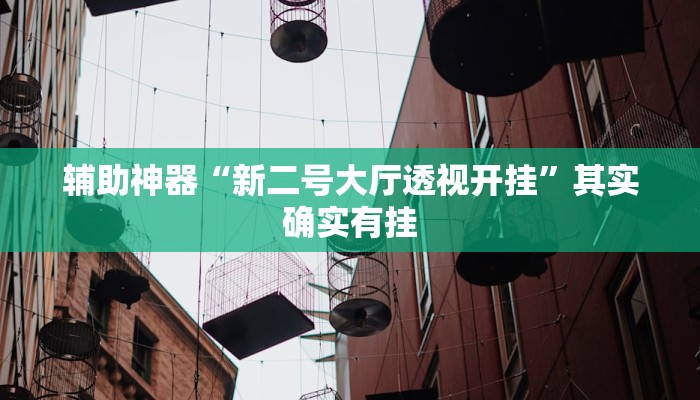 辅助神器“新二号大厅透视开挂”其实确实有挂
