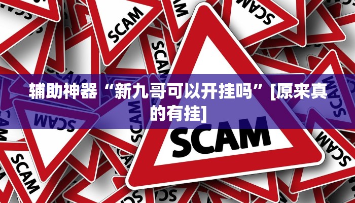 辅助神器“新九哥可以开挂吗”[原来真的有挂]