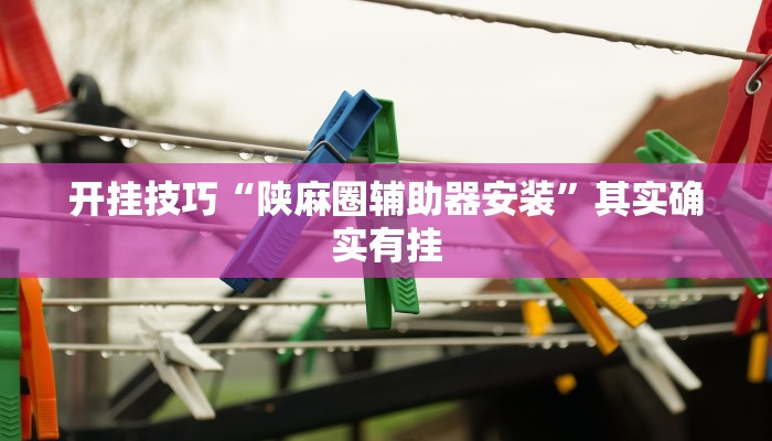 开挂技巧“陕麻圈辅助器安装”其实确实有挂