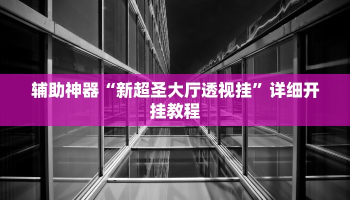 辅助神器“新超圣大厅透视挂”详细开挂教程