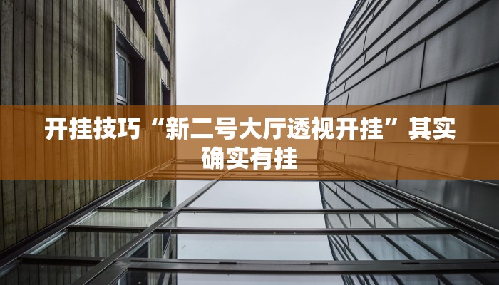 开挂技巧“新二号大厅透视开挂”其实确实有挂