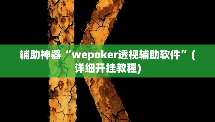 辅助神器“wepoker透视辅助软件”(详细开挂教程)