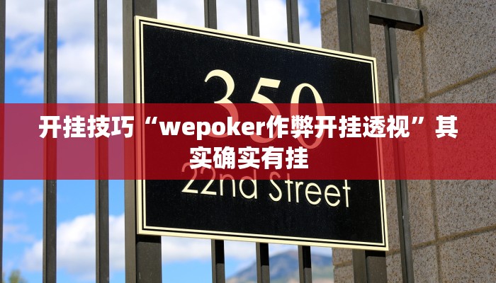 开挂技巧“wepoker作弊开挂透视”其实确实有挂
