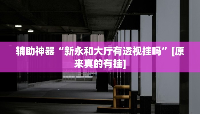 辅助神器“新永和大厅有透视挂吗”[原来真的有挂]