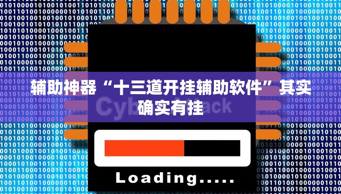 辅助神器“十三道开挂辅助软件”其实确实有挂 辅助神器“十三道开挂辅助软件”其实确实有挂