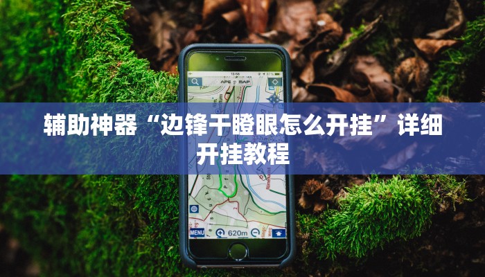 辅助神器“边锋干瞪眼怎么开挂”详细开挂教程