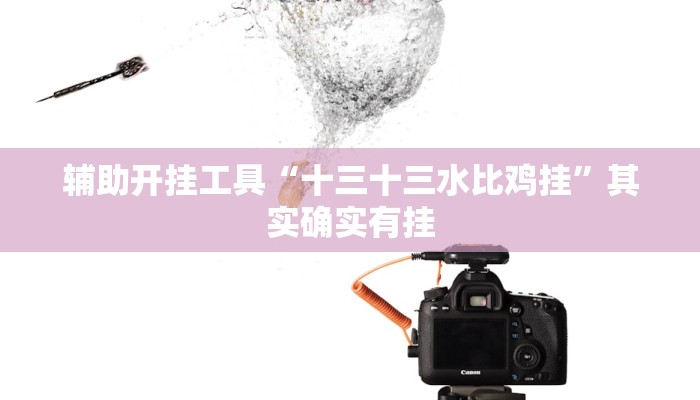 辅助开挂工具“十三十三水比鸡挂”其实确实有挂