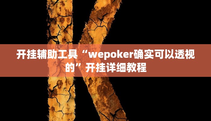 开挂辅助工具“wepoker确实可以透视的”开挂详细教程