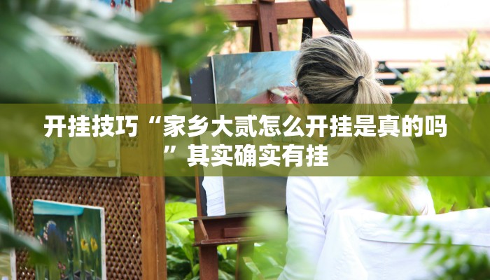 开挂技巧“家乡大贰怎么开挂是真的吗”其实确实有挂