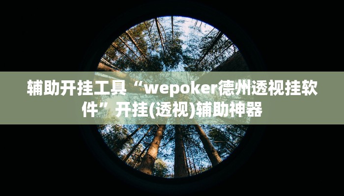 辅助开挂工具“wepoker德州透视挂软件”开挂(透视)辅助神器