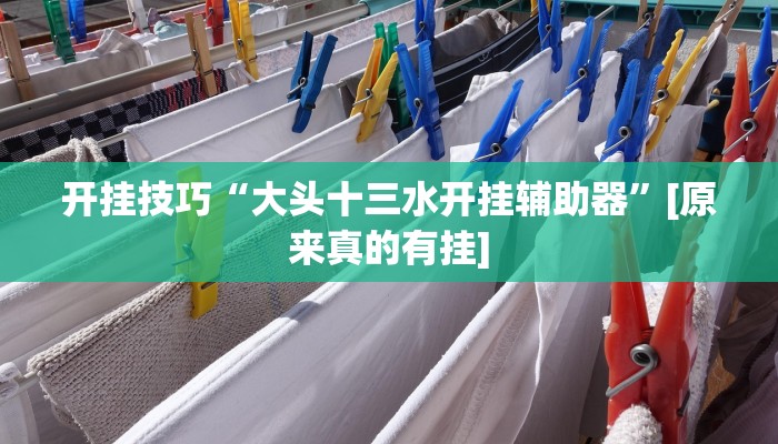 开挂技巧“大头十三水开挂辅助器”[原来真的有挂]