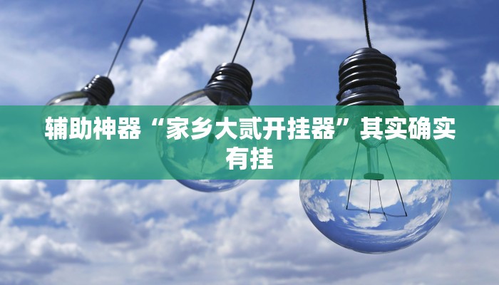 辅助神器“家乡大贰开挂器”其实确实有挂