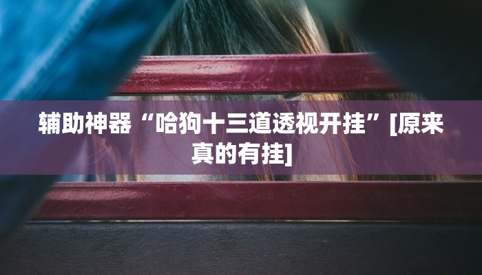 辅助神器“哈狗十三道透视开挂”[原来真的有挂]