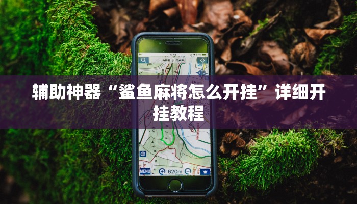 辅助神器“鲨鱼麻将怎么开挂”详细开挂教程