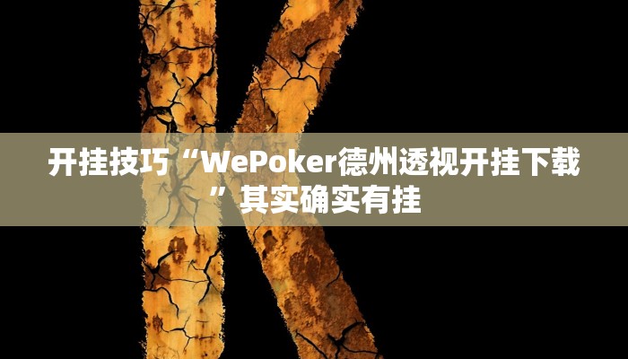 开挂技巧“WePoker德州透视开挂下载”其实确实有挂