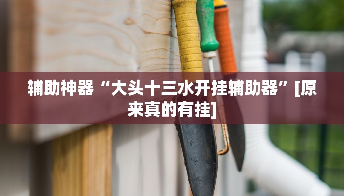 辅助神器“大头十三水开挂辅助器”[原来真的有挂]