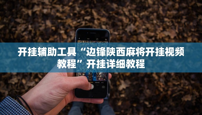 辅助神器“浙衢麻将可以开挂吗”详细开挂教程