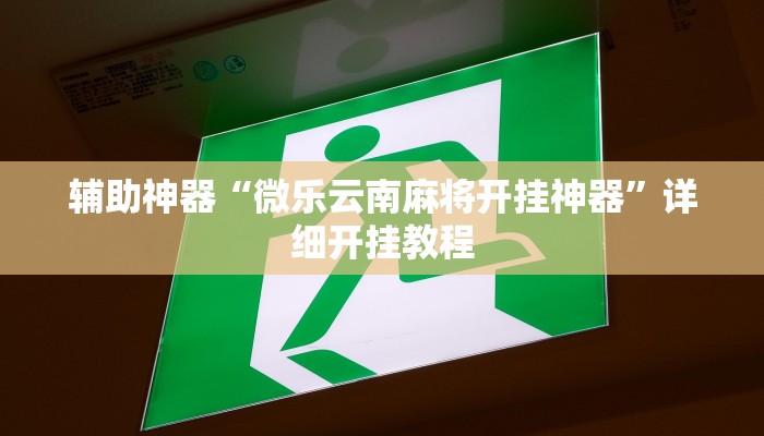 辅助神器“微乐云南麻将开挂神器”详细开挂教程