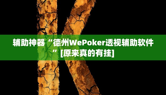 辅助神器“德州WePoker透视辅助软件”[原来真的有挂]