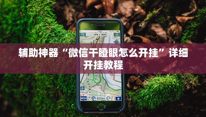 今日教程“东阳四副牌必胜辅助挂”其实确实有挂