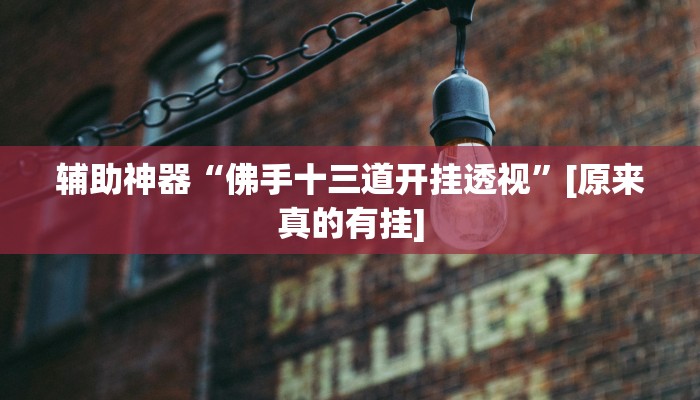 辅助神器“佛手十三道开挂透视”[原来真的有挂]