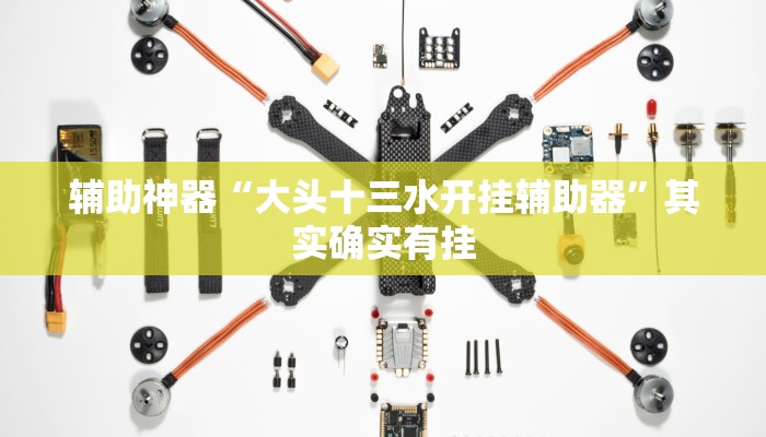 辅助神器“大头十三水开挂辅助器”其实确实有挂 辅助神器“大头十三水开挂辅助器”其实确实有挂