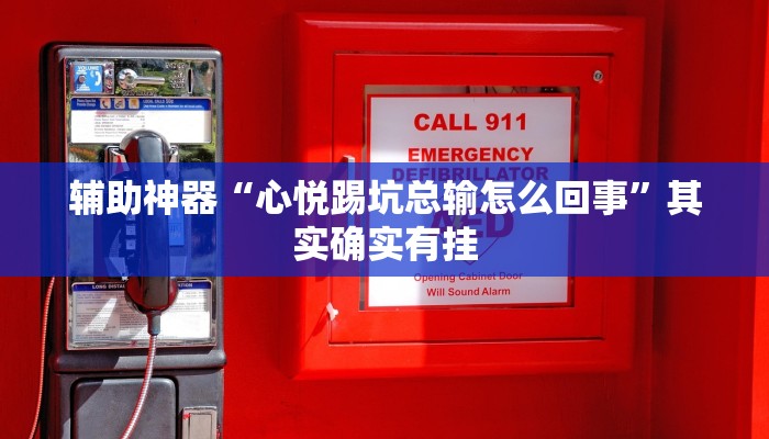 辅助神器“心悦踢坑总输怎么回事”其实确实有挂