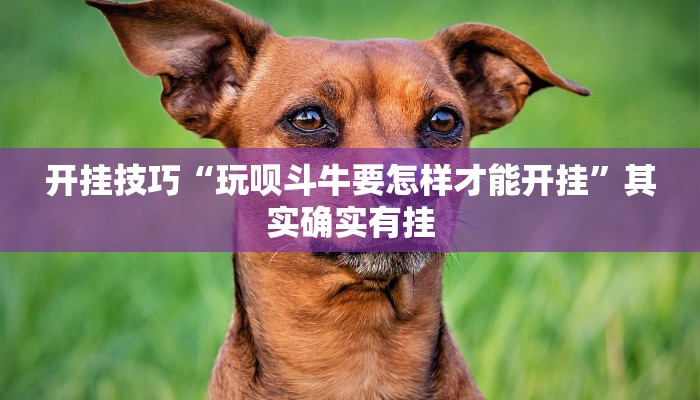 辅助神器“博雅地方棋牌可以作弊吗”详细开挂教程 辅助神器“博雅地方棋牌可以作弊吗”详细开挂教程