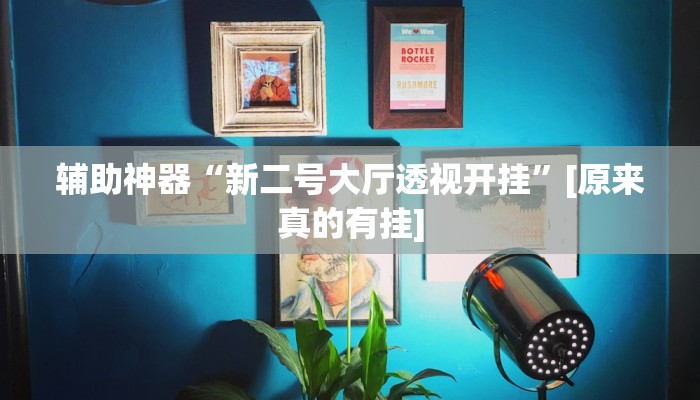 辅助神器“新二号大厅透视开挂”[原来真的有挂]