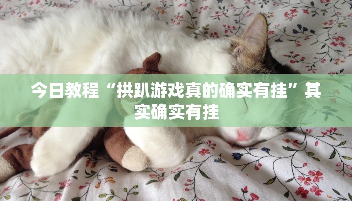 今日教程“拱趴游戏真的确实有挂”其实确实有挂 今日教程“拱趴游戏真的确实有挂”其实确实有挂