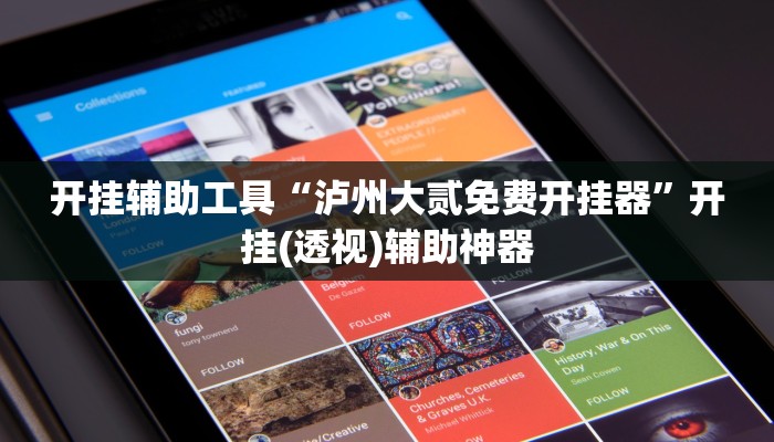 辅助神器“边锋干瞪眼作弊”详细开挂教程 辅助神器“边锋干瞪眼作弊”详细开挂教程