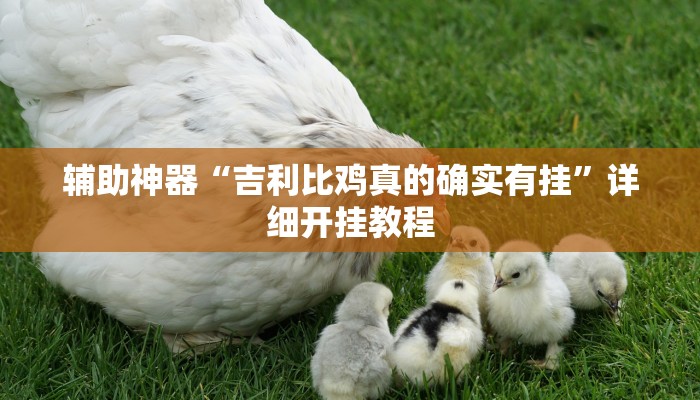 辅助神器“吉利比鸡真的确实有挂”详细开挂教程