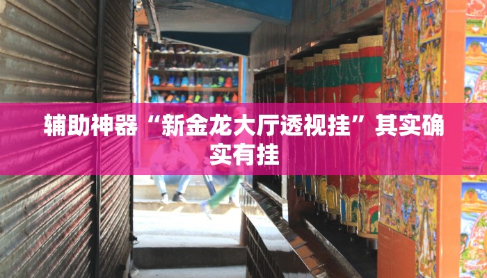 辅助神器“新金龙大厅透视挂”其实确实有挂 辅助神器“新金龙大厅透视挂”其实确实有挂