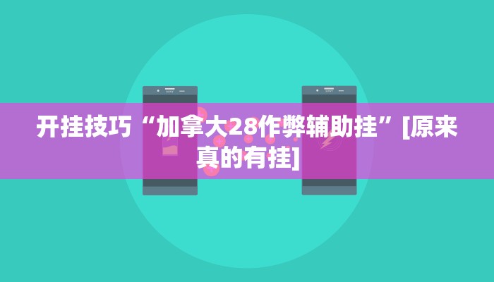 开挂技巧“加拿大28作弊辅助挂”[原来真的有挂]