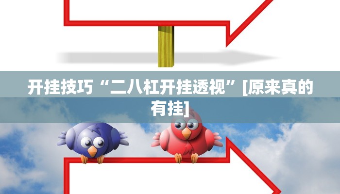 开挂技巧“二八杠开挂透视”[原来真的有挂]