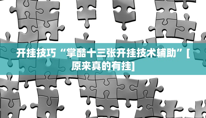 开挂技巧“掌酷十三张开挂技术辅助”[原来真的有挂]