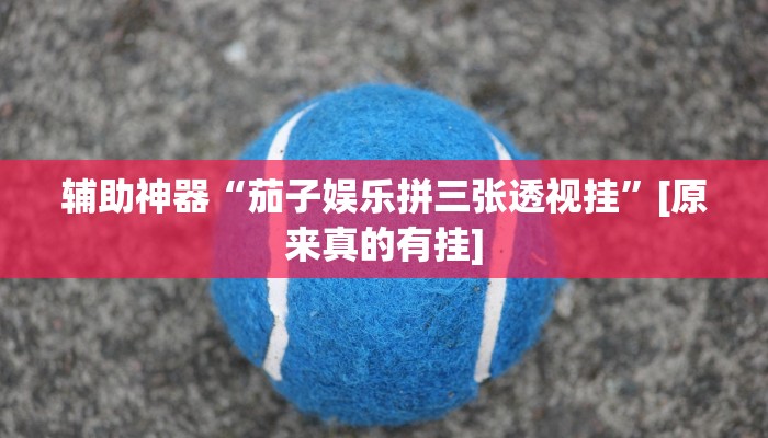 辅助神器“茄子娱乐拼三张透视挂”[原来真的有挂]