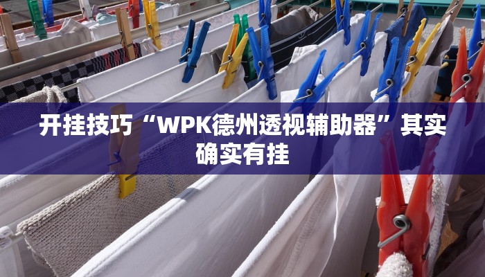 开挂技巧“WPK德州透视辅助器”其实确实有挂
