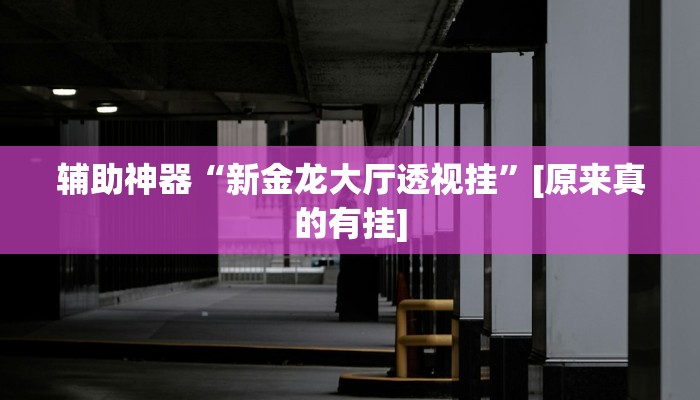 辅助神器“新金龙大厅透视挂”[原来真的有挂]