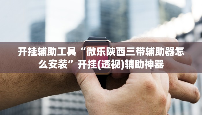 开挂辅助工具“微乐陕西三带辅助器怎么安装”开挂(透视)辅助神器