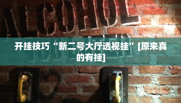开挂技巧“新人海大厅炸金花开挂透视”其实确实有挂