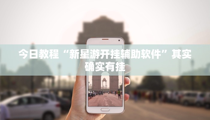 今日教程“新星游开挂辅助软件”其实确实有挂