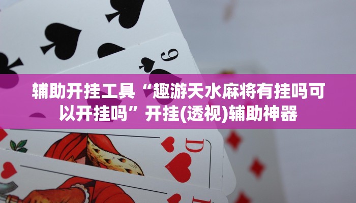 辅助开挂工具“趣游天水麻将有挂吗可以开挂吗”开挂(透视)辅助神器