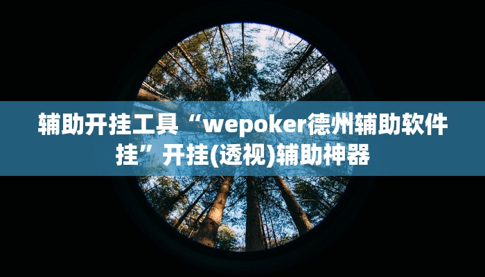 辅助开挂工具“wepoker德州辅助软件挂”开挂(透视)辅助神器
