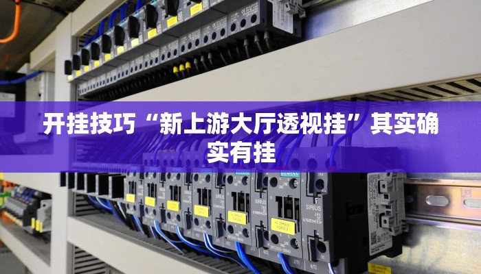 开挂技巧“新上游大厅透视挂”其实确实有挂